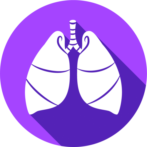 lungs icon