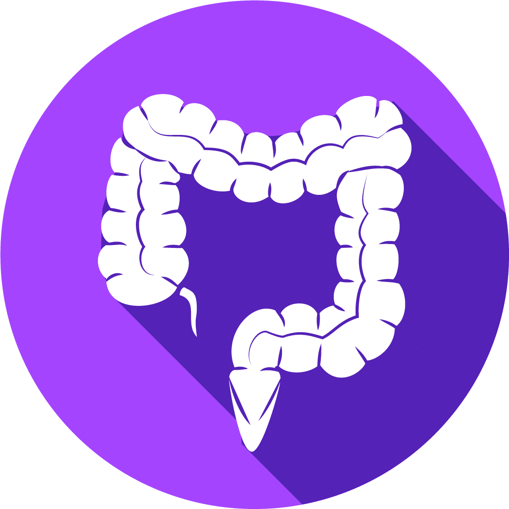 GI icon