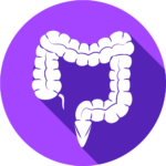 Document GI procedures